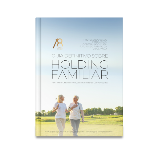 HOLDING FAMILIAR GUIA DEFINITIVO